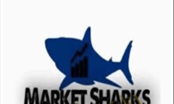 MarketSharks Forex Training - Avdo Hadziavdic