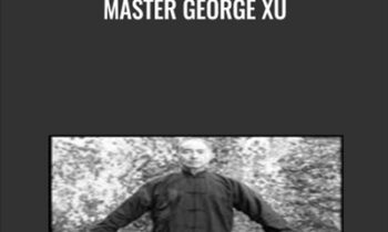 Master George Xu - Wu Wei Qigong