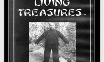 Wu Wei Qigong - Master George Xu