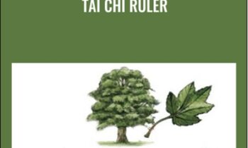 Tai Chi Ruler - Masterworks International
