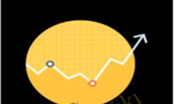 Maximizing Your Success Trading Puts and Calls - Sarah