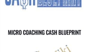 Micro Coaching Cash Blueprint - Ray Higdon