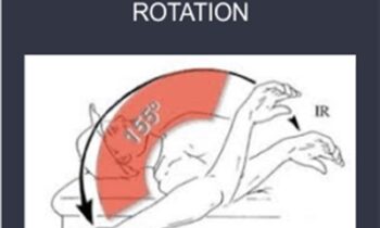 Inner Circle -3 Ways to Gain Shoulder Internal Rotation - Mike Reinold