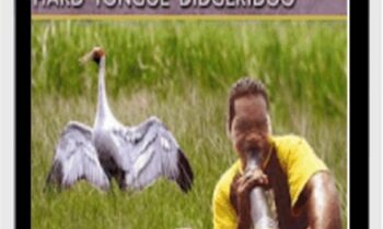 Hard Tongue Didgeridoo - Milkay Mununggurr