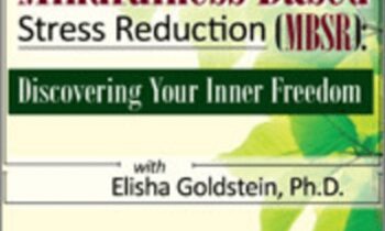 Mindfulness-Based Stress Reduction (MBSR): Discovering Your Inner Freedom with Elisha Goldstein