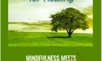 Mindfulness Meets Clinical Practice-A New Paradigm for Healing - Jon Kabat-Zinn & Other