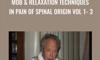 Mob and Relaxation Techniques in Pain of Spinal Origin Vol 1- 3 - Karel Lewit Repost