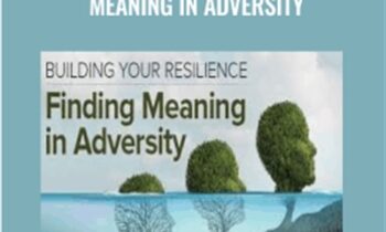 Building Your Resilience Finding Meaning in Adversity - Molly Birkholm