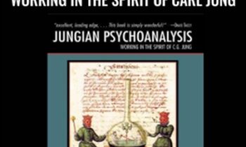 Jungian Psychoanalysis: Working in the Spirit of Carl Jung - Murray Stein