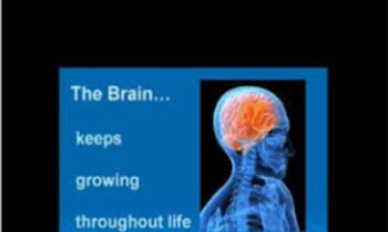 Rewire the Brain for Happiness - NICABM