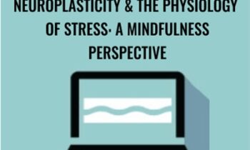 Neuroplasticity and the Physiology of Stress: A Mindfulness Perspective - Clyde Boiston