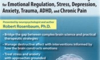 Neuroscience for Everyday Practice: Connect Brain Science with Clinical Strategies for Emotional Regulation
