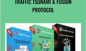 Traffic Tsunami and Fusion Protocol - OMG Machines