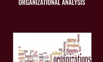Organizational Analysis - Daniel McFarland