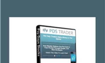 Option Insanity Strategy - PDS Trader