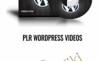PLR WordPress Videos - Steve Dougherty
