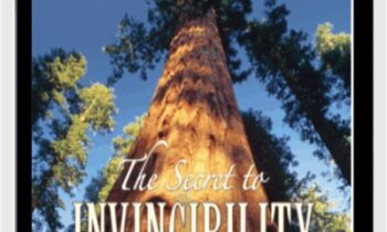 The Secret To Invincibility - Paul Pearsall