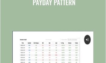 Payday Pattern - Stephen Johnson
