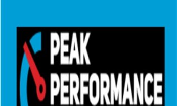 Peak Performance Formula - Ron Friedman