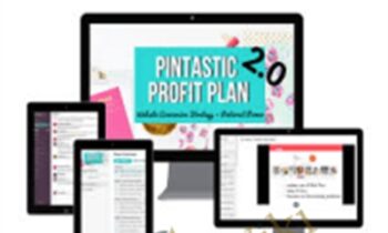 Pintastic Profit Plan 2.0 - Summer Tannhauser