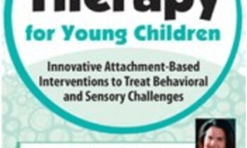 Play Therapy for Young Children: Innovative Attachment-Based Interventions to Treat Behavioral and Sensory Challenges - Tammi Van Hollander