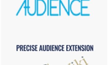 Precise Audience Extension - Faceids.com