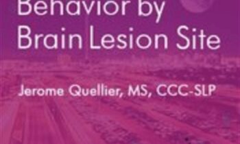 Predicting Patient Behavior by Brain Lesion Site - Jerome Quellier