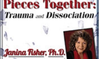 Putting the Pieces Together: Trauma and Dissociation - Janina Fisher