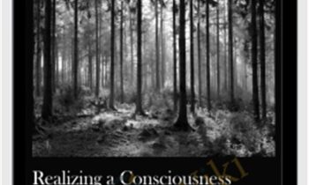 Realizing a Consciousness of Deep Safety-to Be