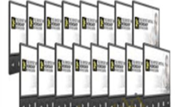 Report Writing Workshop Online - Rich Schefren
