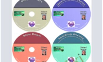 6 New 2013 CDs - Richard Bandler