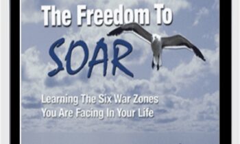 The Freedom to Soar - Richard Flint