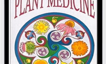 Making Plant Medicine - Richo Cech