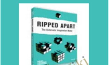 The Automatic Imagination Model - Ripped Apart