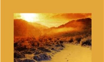 Music to Heal Your Life - Robert Coxon