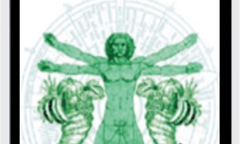 Conscious Prosperity Online - Robert Tennyson Stevens