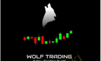 Wolf Trading A Day Trading Guide - Roland Wolf