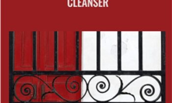 The Energetic Blood Cleanser - Rudy Hunter
