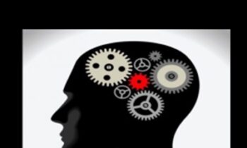 Ruminating Brain - Dr Robert Glover