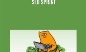 SEO Sprint - Shane Melaugh