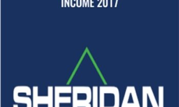 Iron Condors For Income 2017 - Sheridan Options Mentoring