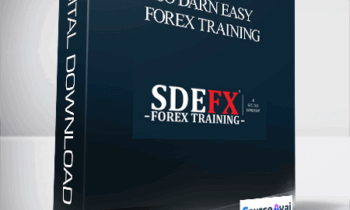 SO DARN EASY FOREX TRAINING (SDEFX™ Millionaire Combo Strategy)