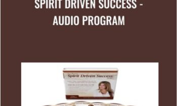 Spirit Driven Success-Audio Program - Dani Johnson