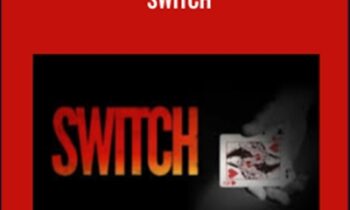 Switch - Daniel Madison and Others