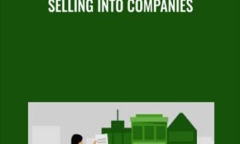 Selling into Companies - Lisa Earle McLeod & Elizabeth Lotardo