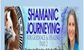 Shamanic Journeying for Guidance and Healing part 2 - Sandra Ingerman
