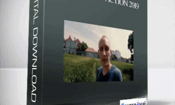 Shane Melaugh - Focus and Action 2019
