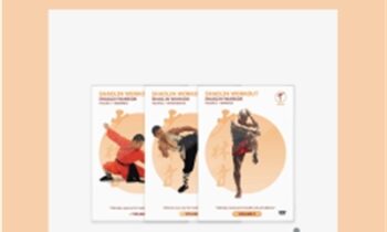 Shaolin Workout- 3xDVD Bundle - Shifu Yan Lei