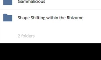 Shapeshifting within the Rhizome - John Overdurf