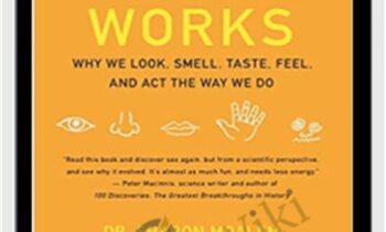How Sex Works: Why We Look